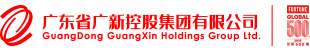 广东省壹定发控股集团有限公司